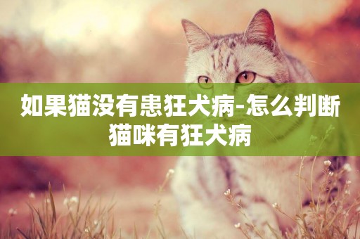 如果猫没有患狂犬病-怎么判断猫咪有狂犬病